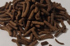 BFO Cichlid Sticks Insect Based Food