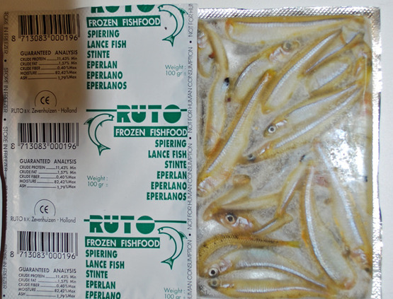 Ruto Lance Frozen Fish 100g • Buy Fish Online